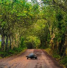 Gregorio made for us the "fruit bomb" fermentation, the processing was 260 hours! no one else will ever have anything like that :)